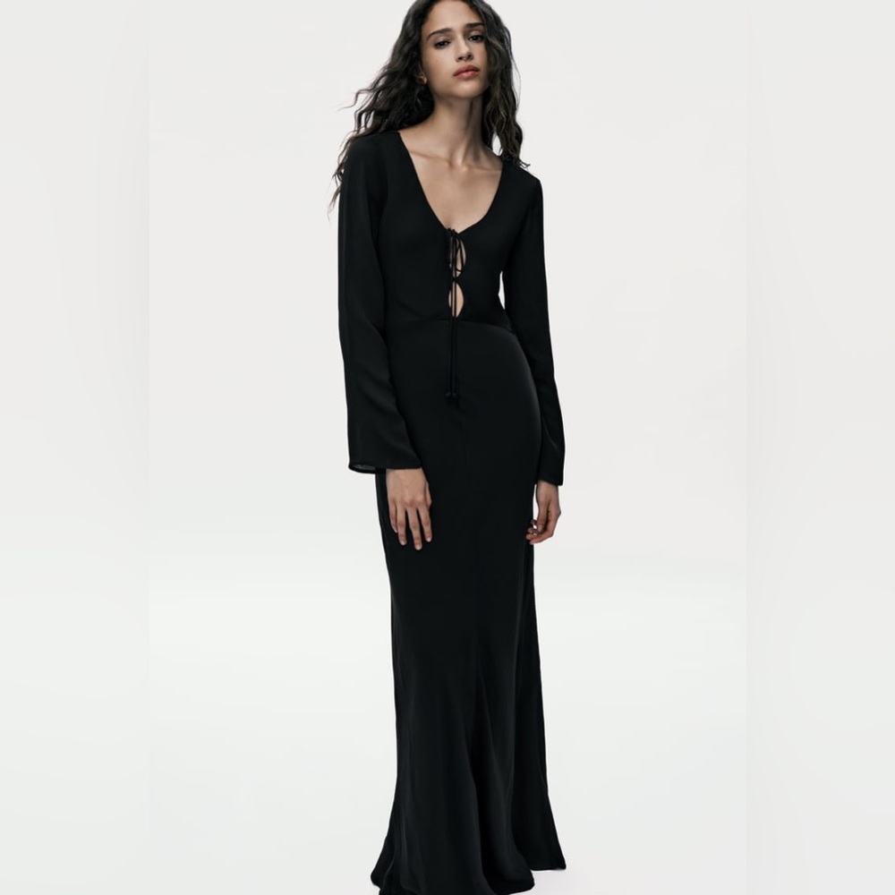 ZARA LONG OPEN BACK DRESS - Picture 3 of 9